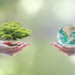 Graphic image of hands holding up a tree and the earth.